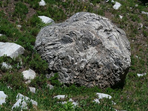 Large Migmatitic Gneiss Boulder Along Mitchell Lake Trail, Indian Peaks Wilderness, Colorado