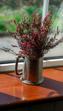 Heather and erica with flowers in a metal mug on the wooden windowsill of a white window, bathed in sunlight
