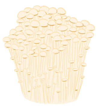 enoki mushrooms illustration