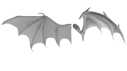 Fototapeta premium An image showing an example of a bat wing, a fantasy creature, and a wing resembling a dragon's or bat's head on a transparent background. Example of a dragon wing.