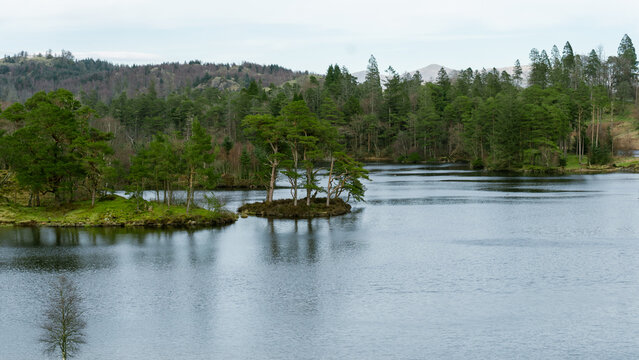 Tarn Hows lake in the Lake District, UK. The lake is surrounded by wooded slopes