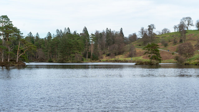 Tarn Hows lake in the Lake District, UK. The lake is surrounded by wooded slopes