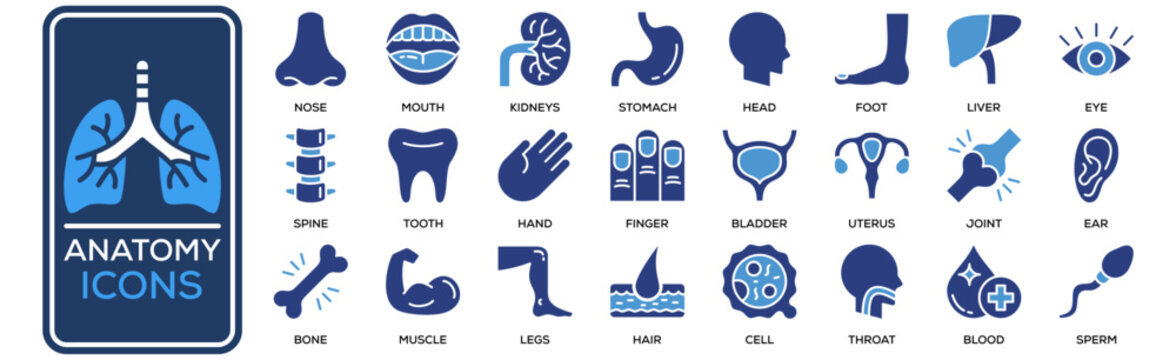 Anatomy Icon Set Collection. Containing Design Eye, Nose, Mouth, Ear, Tooth