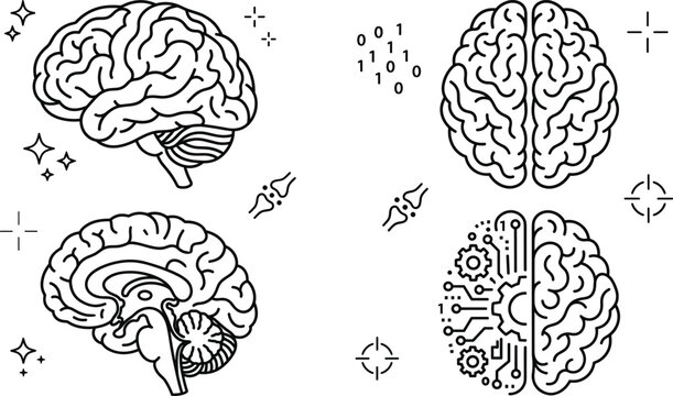 Human brain anatomy and artificial intelligence digital circuit line art vector doodle icons set illustration