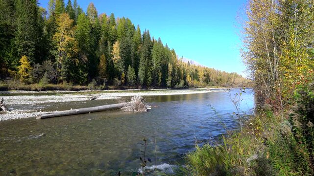 Elk River Annex Park Fernie BC 4K UHD. Elk River passing Annex Park in Fernie British Columbia, Canada.
