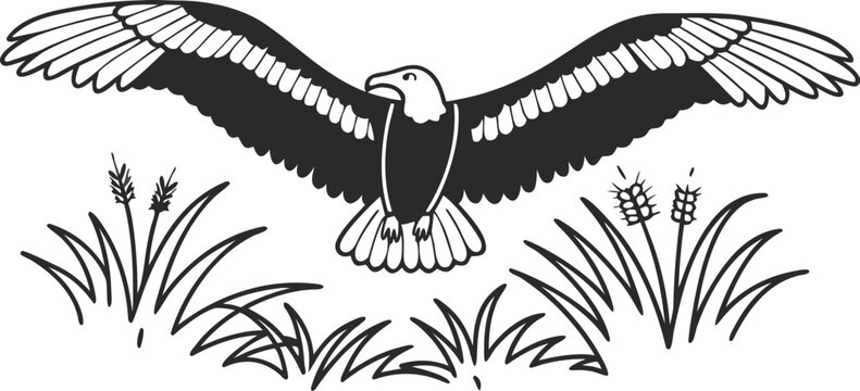 Black and white of an eagle soaring above tall grass and wheat stalks on a clean white background surface