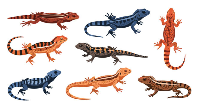 Various colorful flat design vector lizards of different species and patterns isolated on a white background.