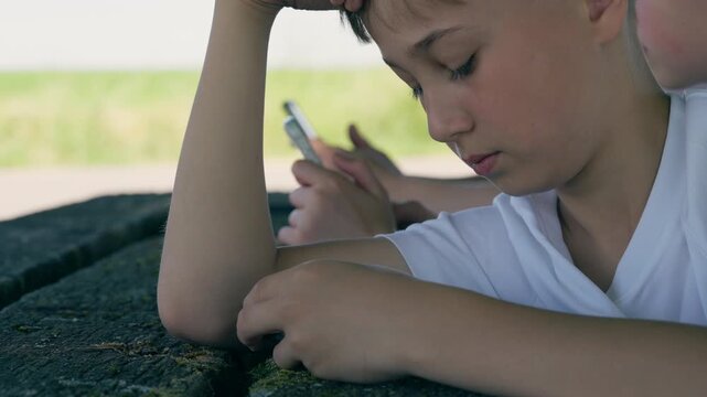 Captured by the screen: A fragile pause where the digital pulse meets the silence of a natural haven.