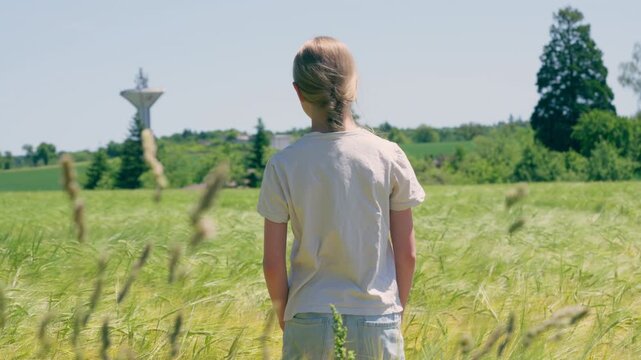 A walk through the golden harvest: A journey into nature&rsquo;s endless cycle of growth and renewal