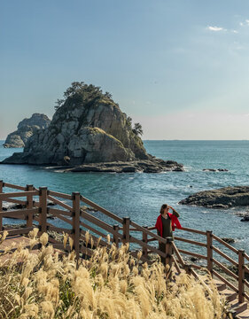 Woman at Busan Rocky Coast Observation Deck