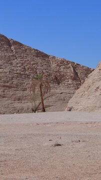 Great Abu Simbel temples of Pharaoh Ramses II and Nefertari in southern Egypt in Nubia next to Lake Nasser. Pan shot.