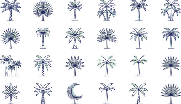 Tropical Palm Tree Line Icon Set Featuring Exotic Coconut Palms Fan Fronds Summer Beach Travel Vacation Paradise and Botanical Jungle Foliage Graphic Design Symbols