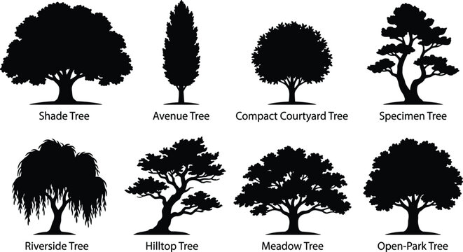 Tree silhouettes set classified by landscape use including shade avenue compact courtyard and riverside types