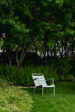 Chair in the park sduring spring day