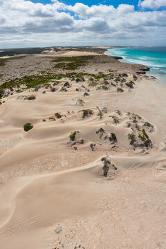 White sand dunes and drifts along a remote coastaline