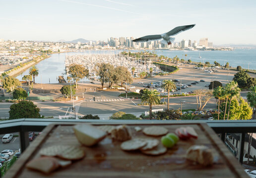 Seagull Approaching Charcuterie Board Over San Diego Harbor 