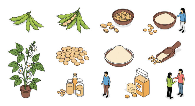 Soybean agriculture and food processing concept showing soy plants, beans, flour, oil, and various healthy products.