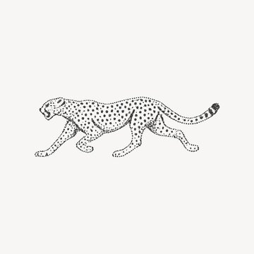 Elegant leopard silhouette illustration.