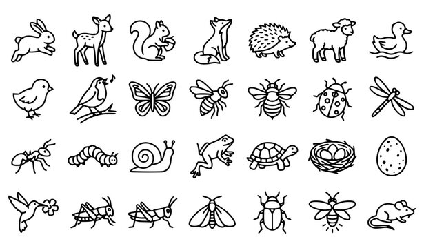 Cute Woodland Animals, Birds and Insects Outline Icons Set Vector Illustration Collection
