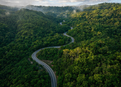 Aerial view of a winding road through a lush green forest landscape with hills transparent background