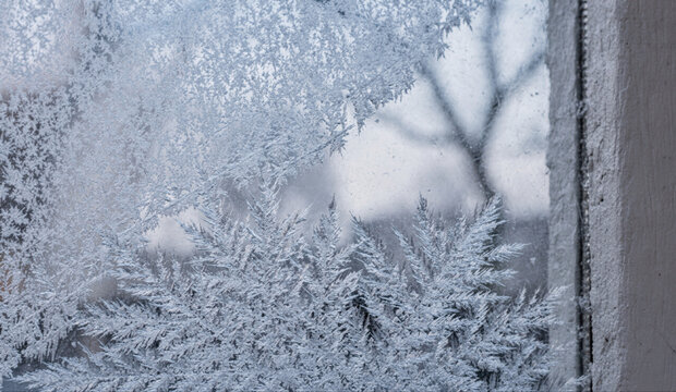 Frost Patterns on Winter Window Glass with Bare Tree Silhouette