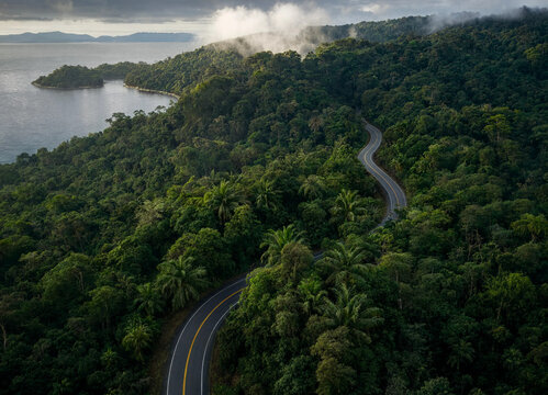 Aerial view of a winding road through dense tropical forest near coastline transparent background