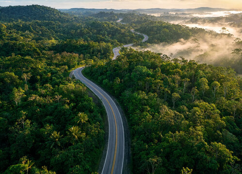 Aerial view of winding road through dense green forest landscape with fog transparent background