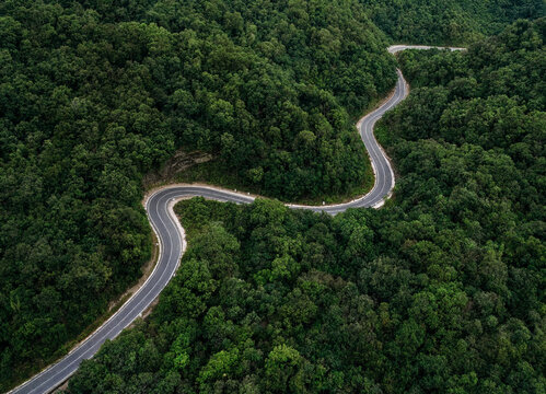 Aerial view of a winding road through a dense green forest landscape transparent background