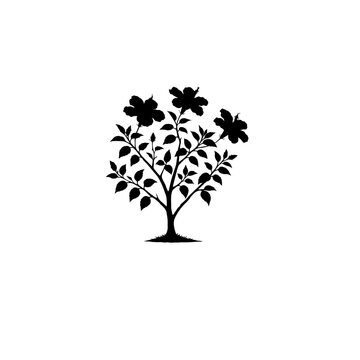Floral  China Rose Tree Silhouette Vector Illustration