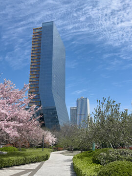 Curved glass skyscraper rising beside cherry blossom trees under blue sky with wispy clouds