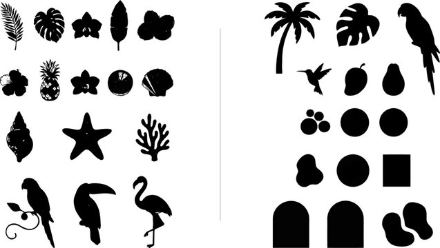 Tropical Rainforest Wildlife Silhouette Pack Black and White Animal Vector Graphics