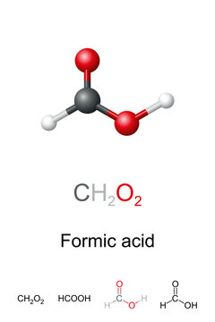 Formic acid, HCOOH, molecule model and chemical structure. Ball-and-stick model of methanoic acid, an important intermediate in chemical synthesis naturally occurring most notably in some ants. Vector