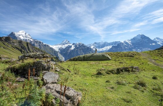 Hiker stands on a large rock, behind him snow-covered Schreckhorn, Wetterhorn and Eiger, Grindelwald, Bern, Switzerland