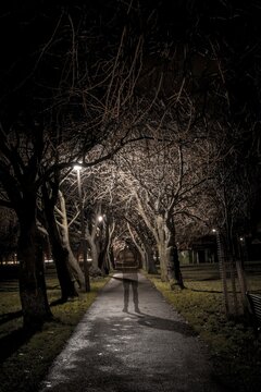 Ghostly silhouette of a dark person on a path through an avenue at night, gloomy mood, Coronation Walk in The Meadows Park, Edinburgh, Scotland, United Kingdom