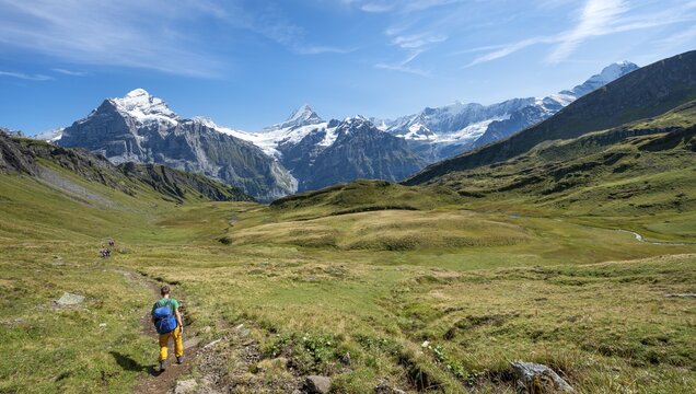 Hiker, snow-covered Fiescherhorn, Wetterhorn and Schreckhorn, Grindelwald, Bern, Switzerland