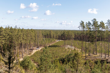 Fototapeta premium Wide Forest Landscape and Country Road from Above