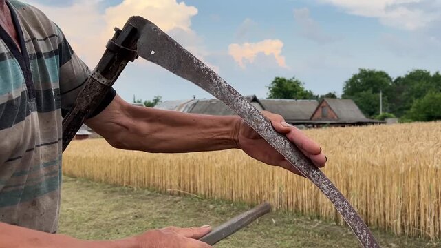 Man sharpening a scythe against a background of a wheat field and blue sky. Horizontal video.