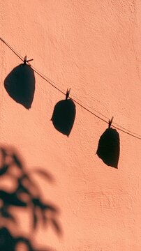Three dark leaf shadows hang on a thin line against an orange wall