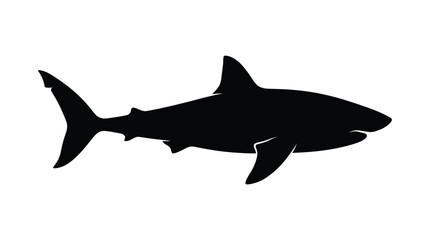 Obraz premium Black shark silhouette against a white background silhouette