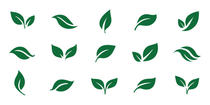 Leaf sprout icon vector set, green leaves plant eco logo symbol simple graphic illustration set, vegan fresh herb pictogram shape sign, organic natural healthy logotype eps 10