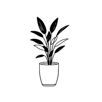vector illustration of a plant