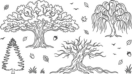 Fototapeta premium Diverse Forest Tree Vector Set Featuring Majestic Oak Weeping Willow Pine and Bare Winter Branch Outline Graphic Designs