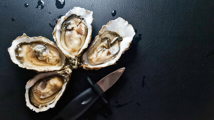 Fresh opened oysters with oyster knife on black background © Yuliya