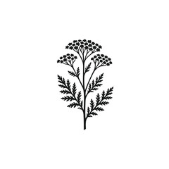 Yarrow Silhouette Textured Floral Stamp © Vectiza