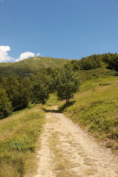 sentiero CAI 495 foce della Verginetta monte Libro Aperto