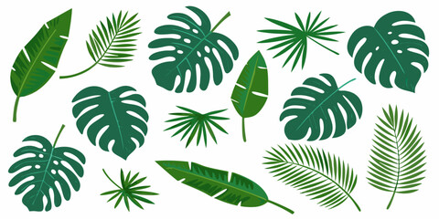 lush tropical foliage elements vector leaves green © Buddiswar