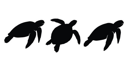 Three Sea Turtles In Silhouette Against A White Background Silhouette © MdRakib