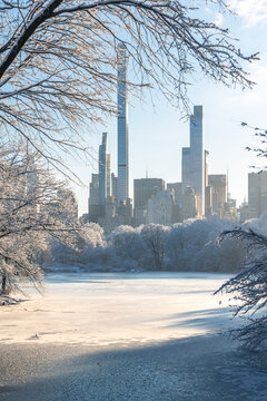 Winter view of Central Park in New York City, with frozen lake, snow-covered trees, and Midtown Manhattan Billionaires Row skyscrapers