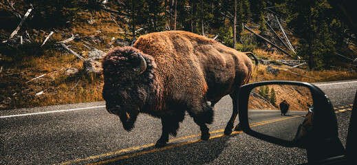 Yellowstone National Park © Lyssa