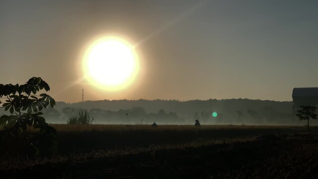 A silhouette of farmers harvesting rice.